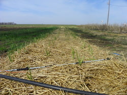 Serenity Farm photo 22