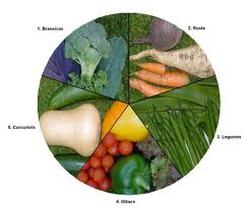 Serenity Farm photo 7