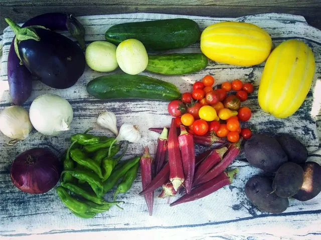 Serenity Farm photo 2