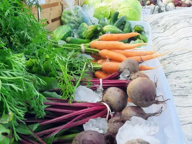 Serenity Farm photo 18